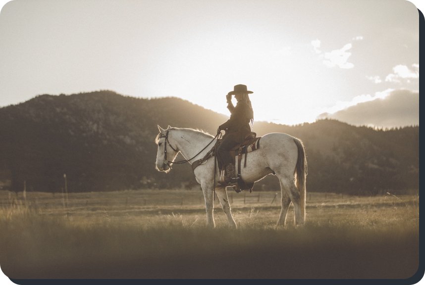 Lorem ipsum Donec ipsum consectetur - Wild Junkie