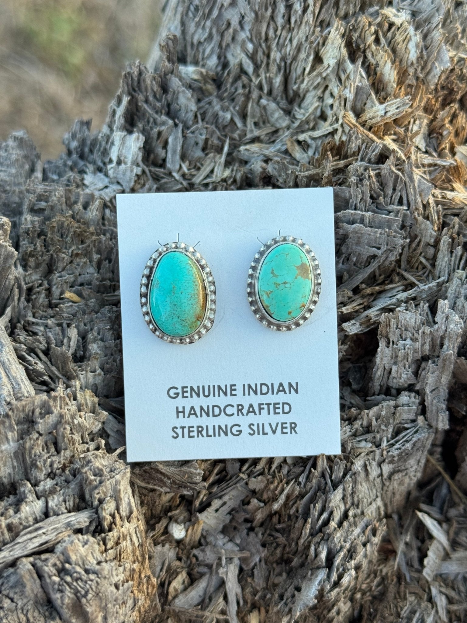 Authentic Oval Sonoran Turquoise Earrings