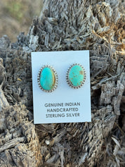 Authentic Oval Sonoran Turquoise Earrings