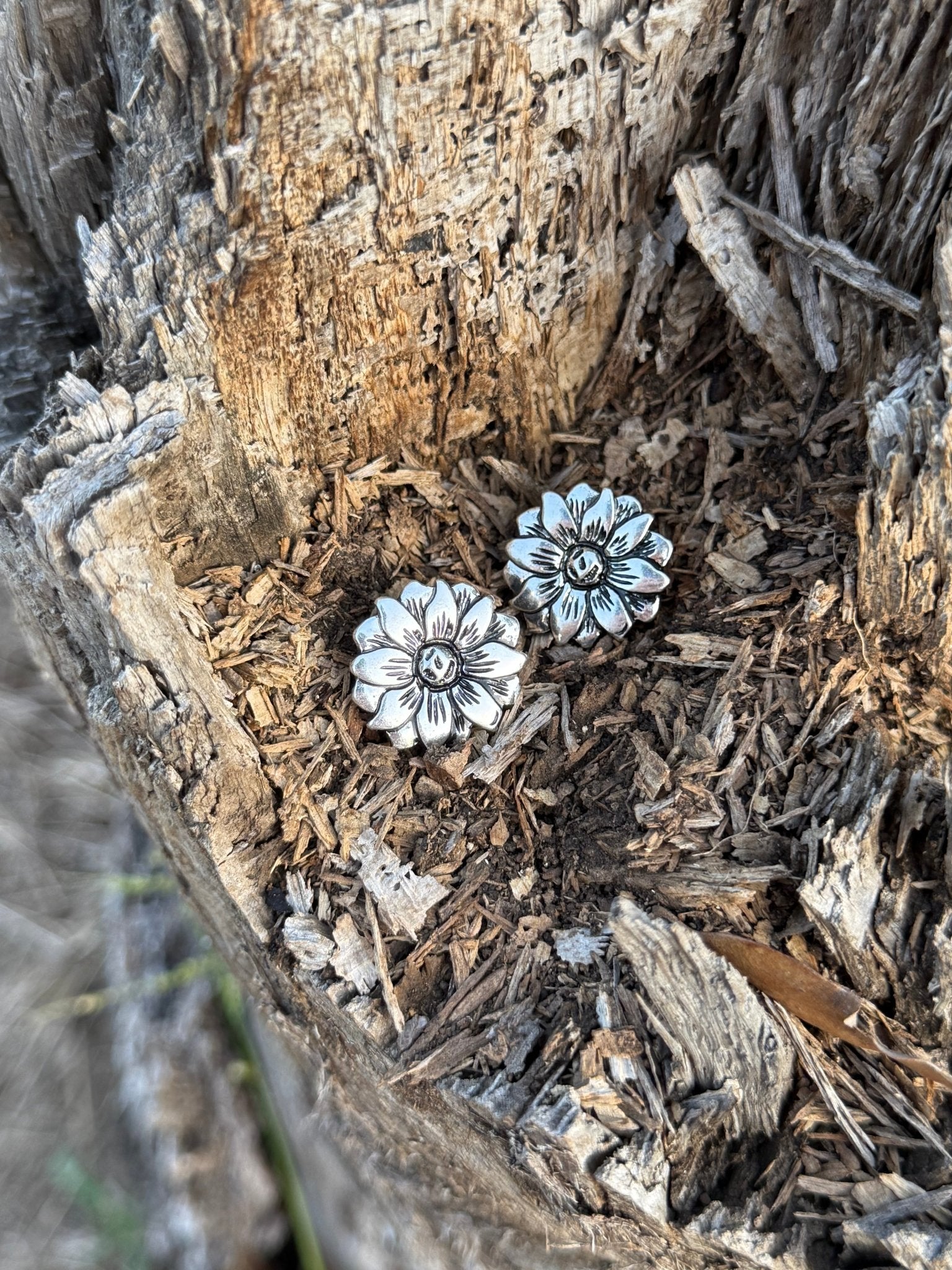 Daisy Trail Post Earrings