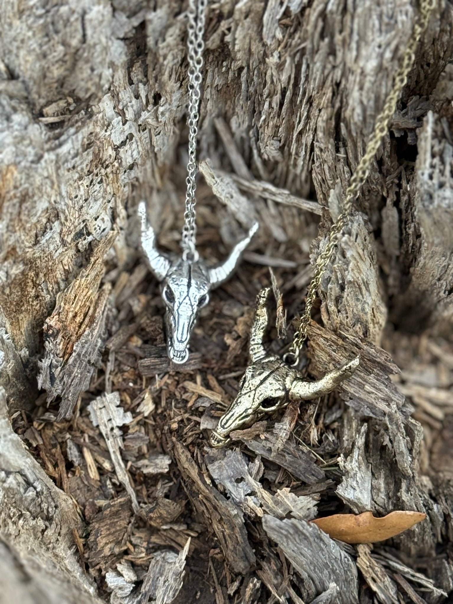 Desert Steer Skull Pendant NecklaceSilver