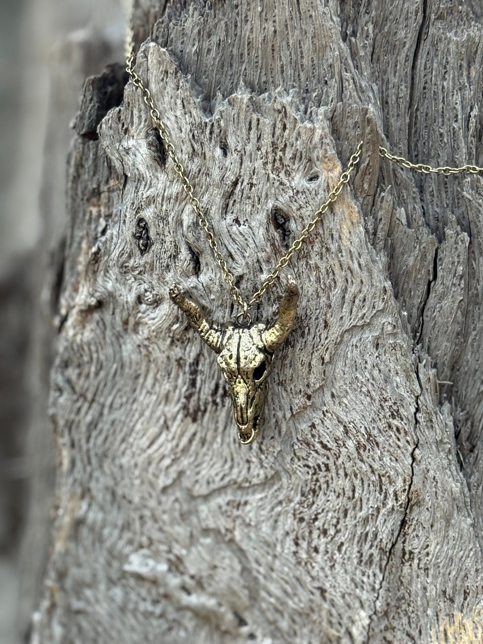 Desert Steer Skull Pendant NecklaceSilver