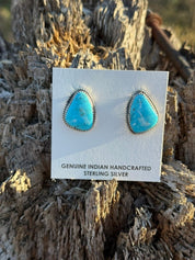 Genuine Sky Kingman Turquoise Earrings