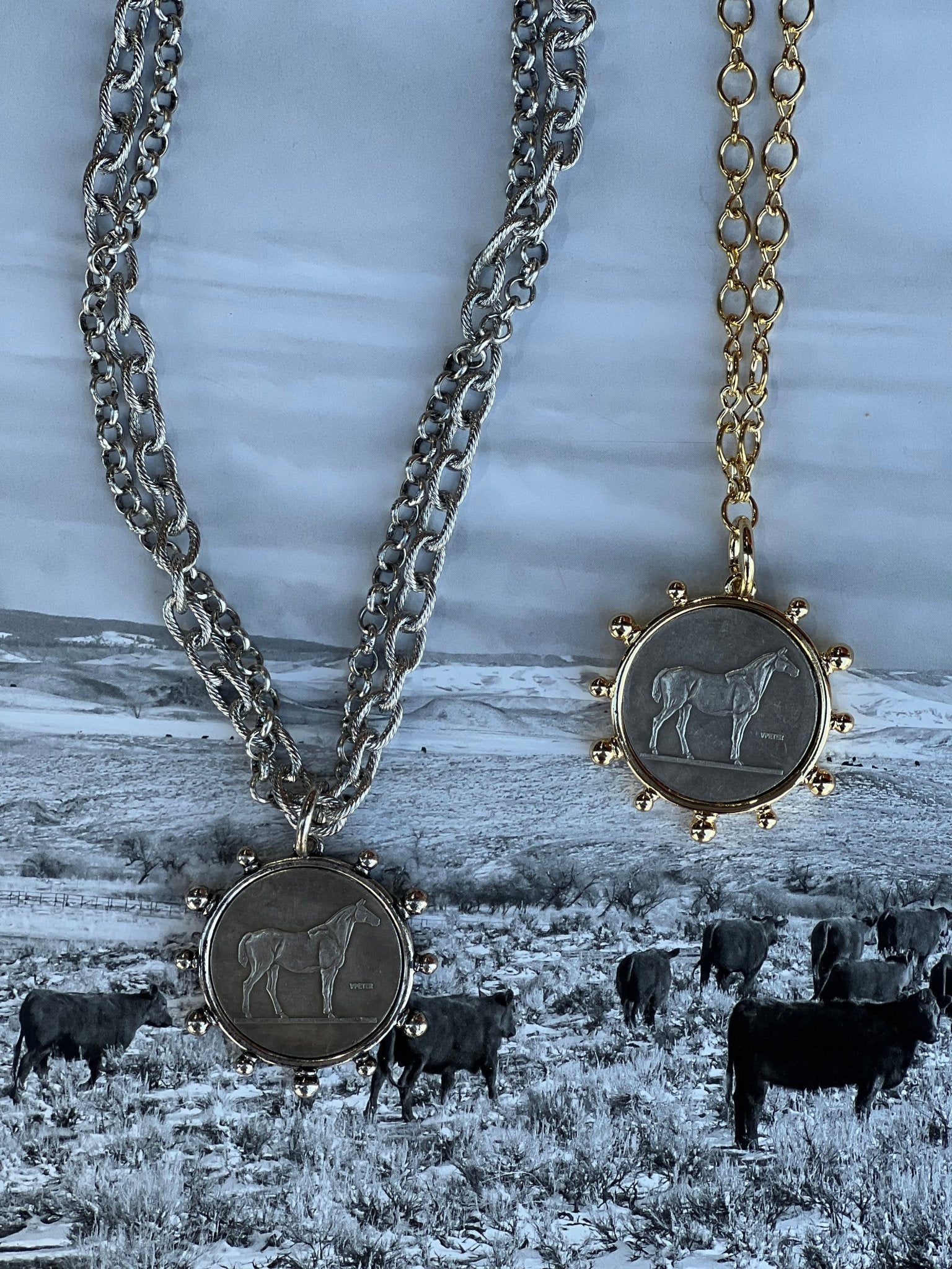 Horse Coin Double Chain Necklace