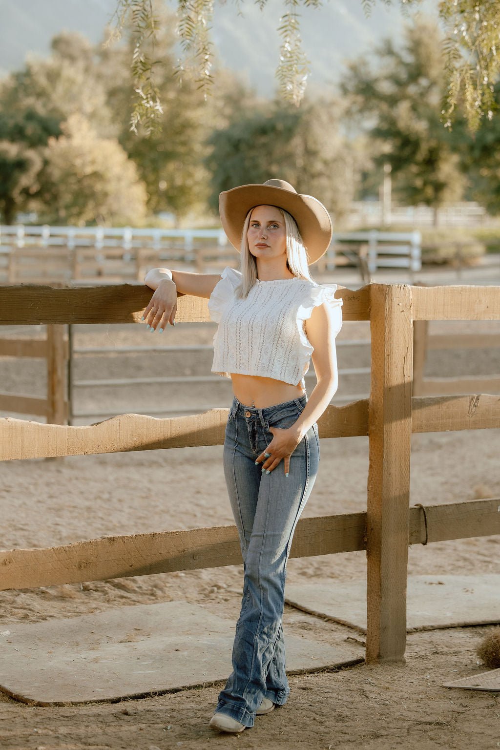 Ruffle Sleeve Lace Crop TopS