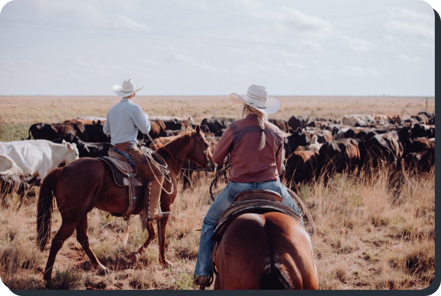 Lorem ipsum Donec ipsum consectetur - Wild Junkie