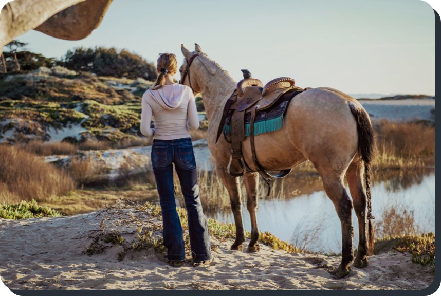Lorem ipsum Donec ipsum consectetur - Wild Junkie