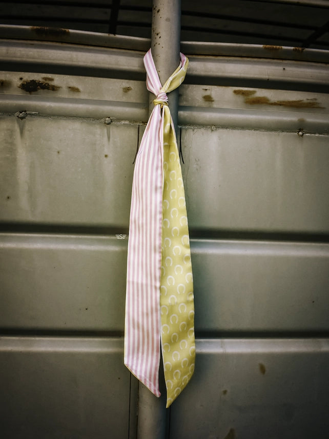 Lucky Charm Horseshoe Stripe Twilly