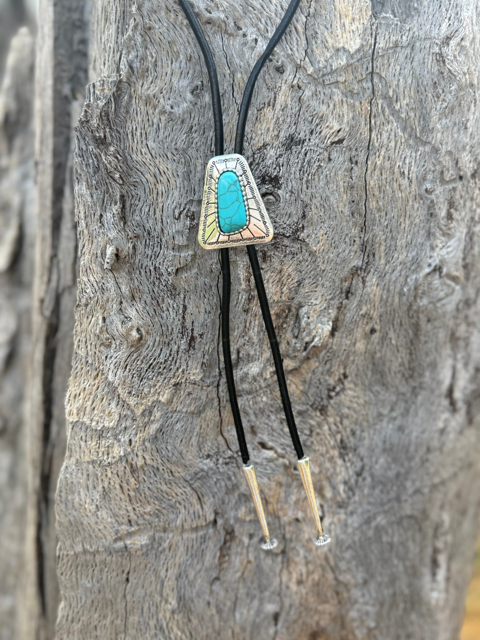 Desert Sky Turquoise Bolo Necklace
