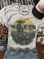 Pasture Sunset Graphic Tee