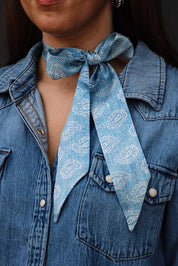 Paisley Pattern Twilly