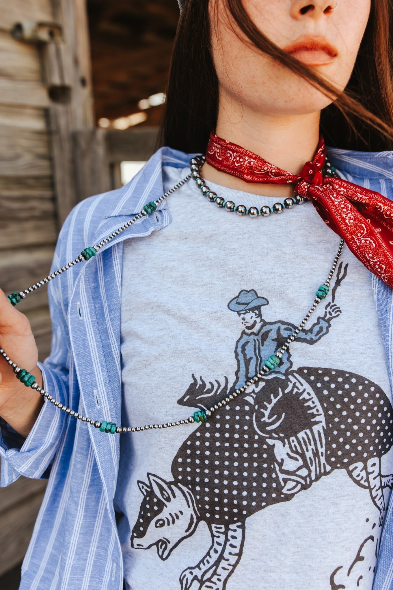 Armadillo Rodeo Graphic TeeLight AshS