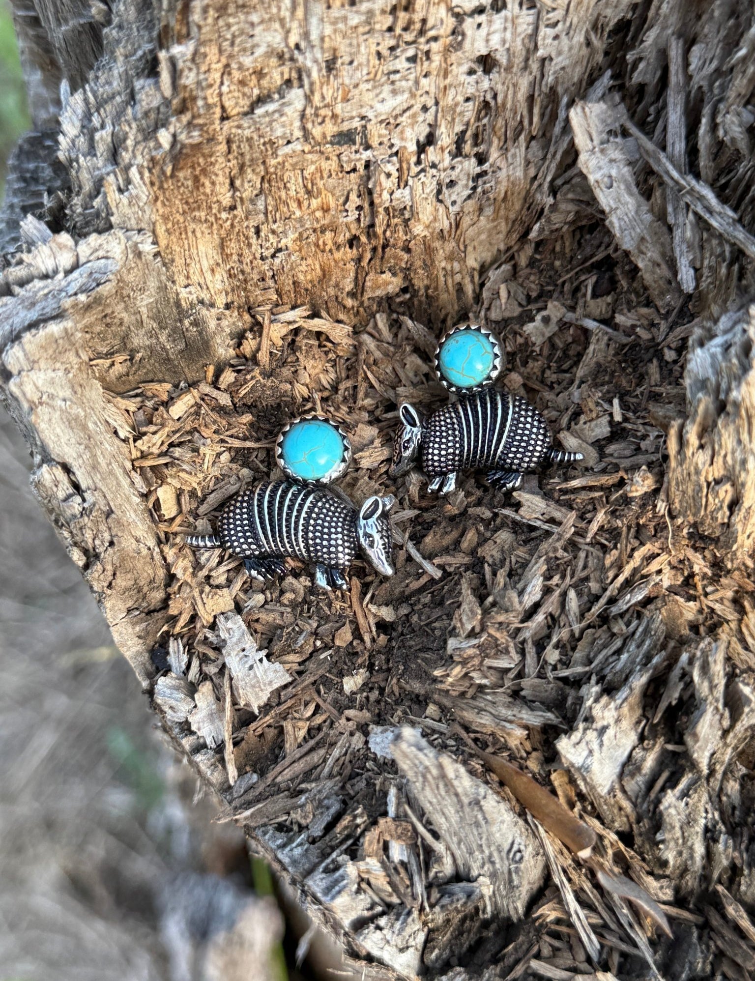 Armadillo Turquoise Stone Earrings