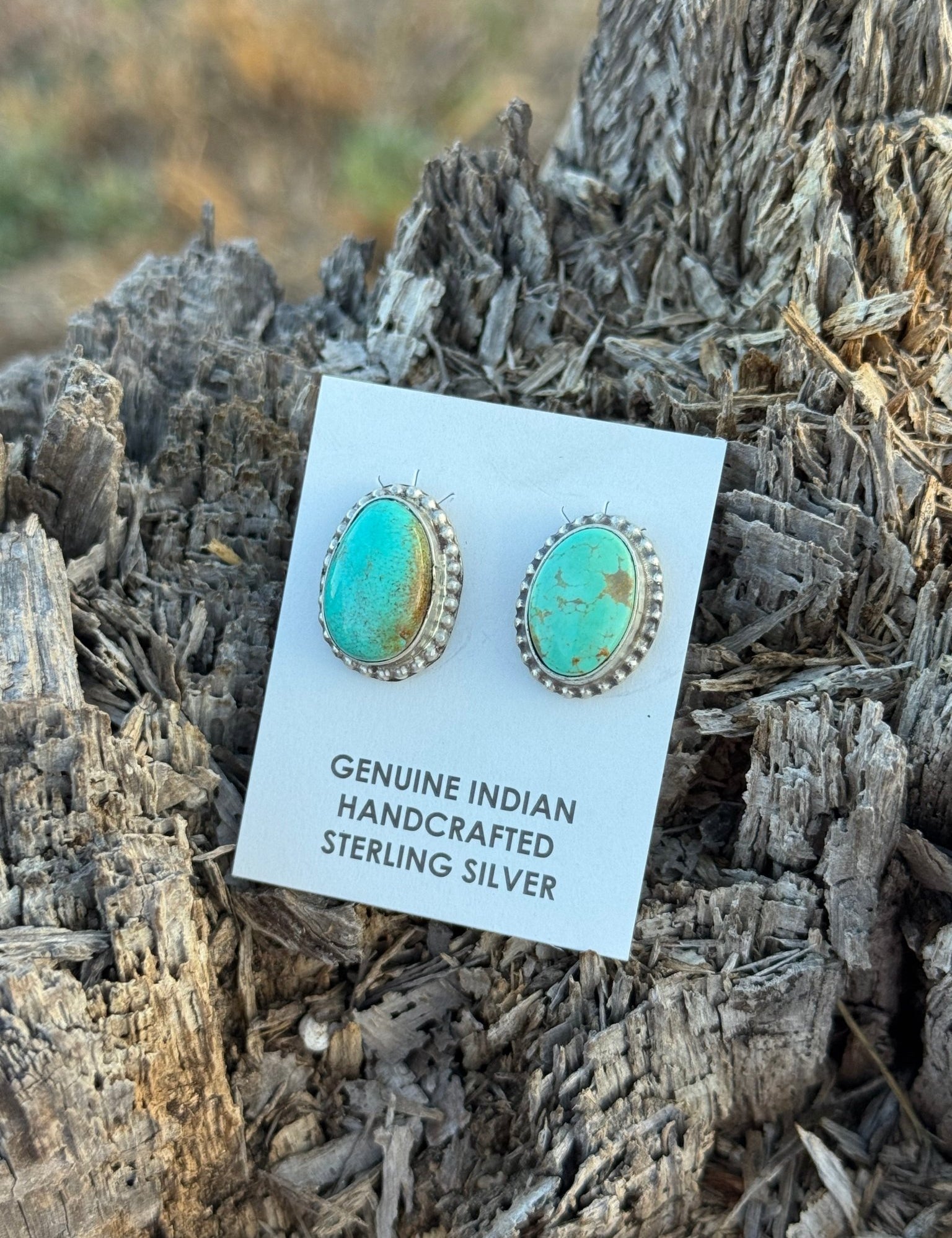Authentic Oval Sonoran Turquoise Earrings