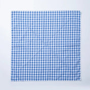 Blue Checkered Gingham Bandana