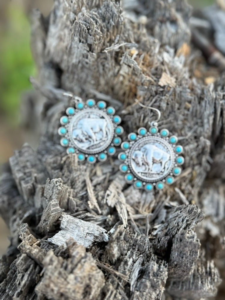 Buffalo Coin Turquoise Earrings