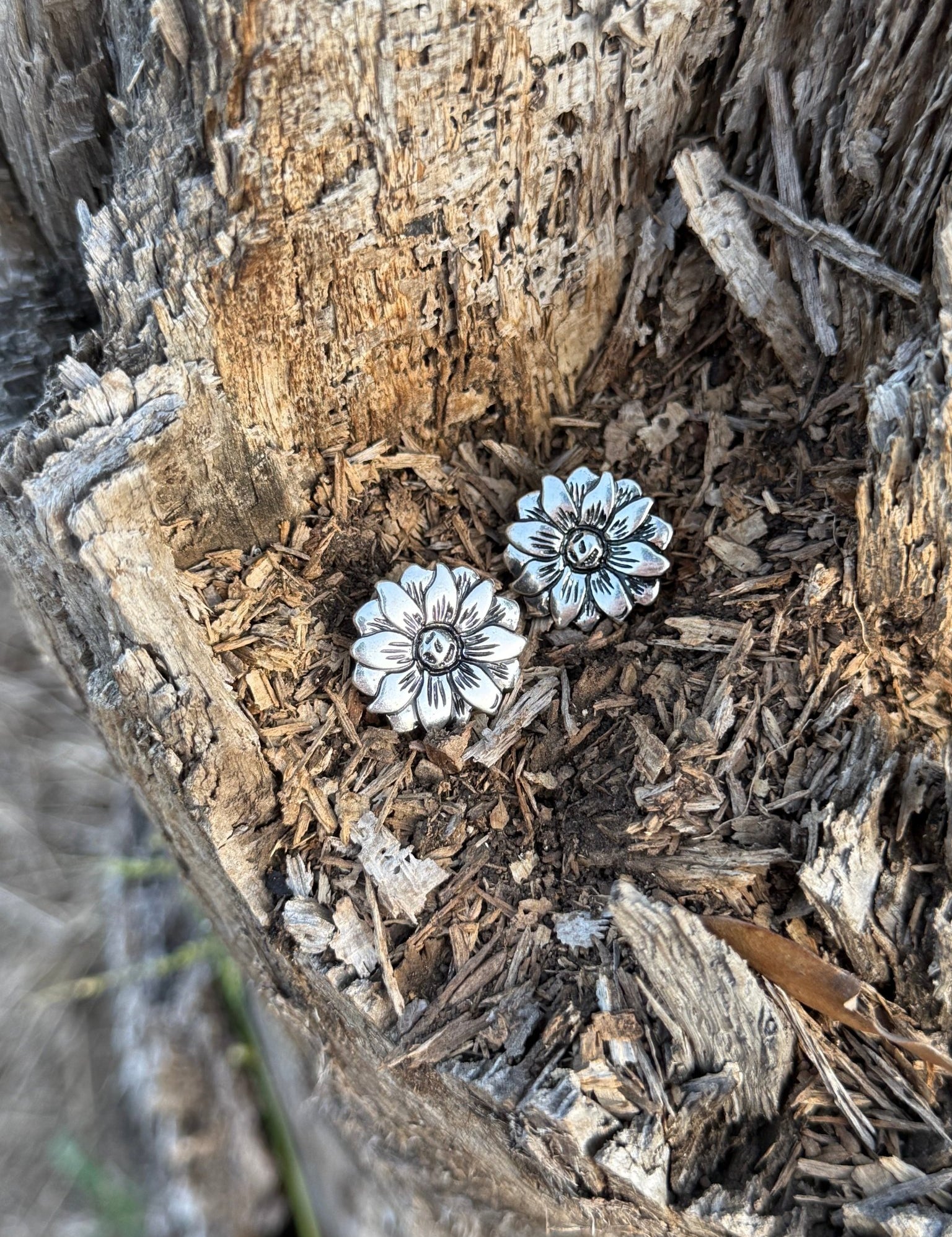 Daisy Trail Post Earrings