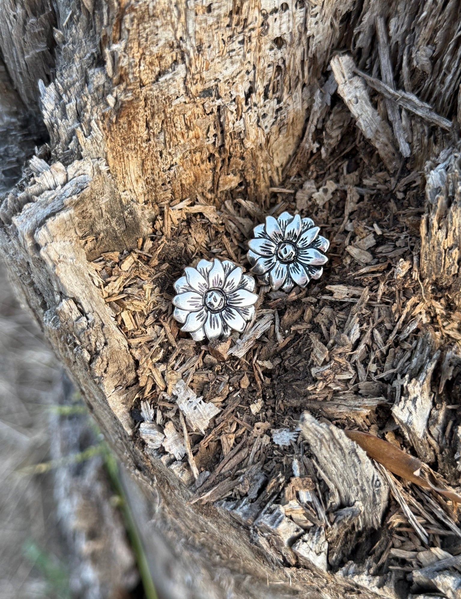 Daisy Trail Post Earrings