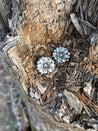 Daisy Trail Post Earrings