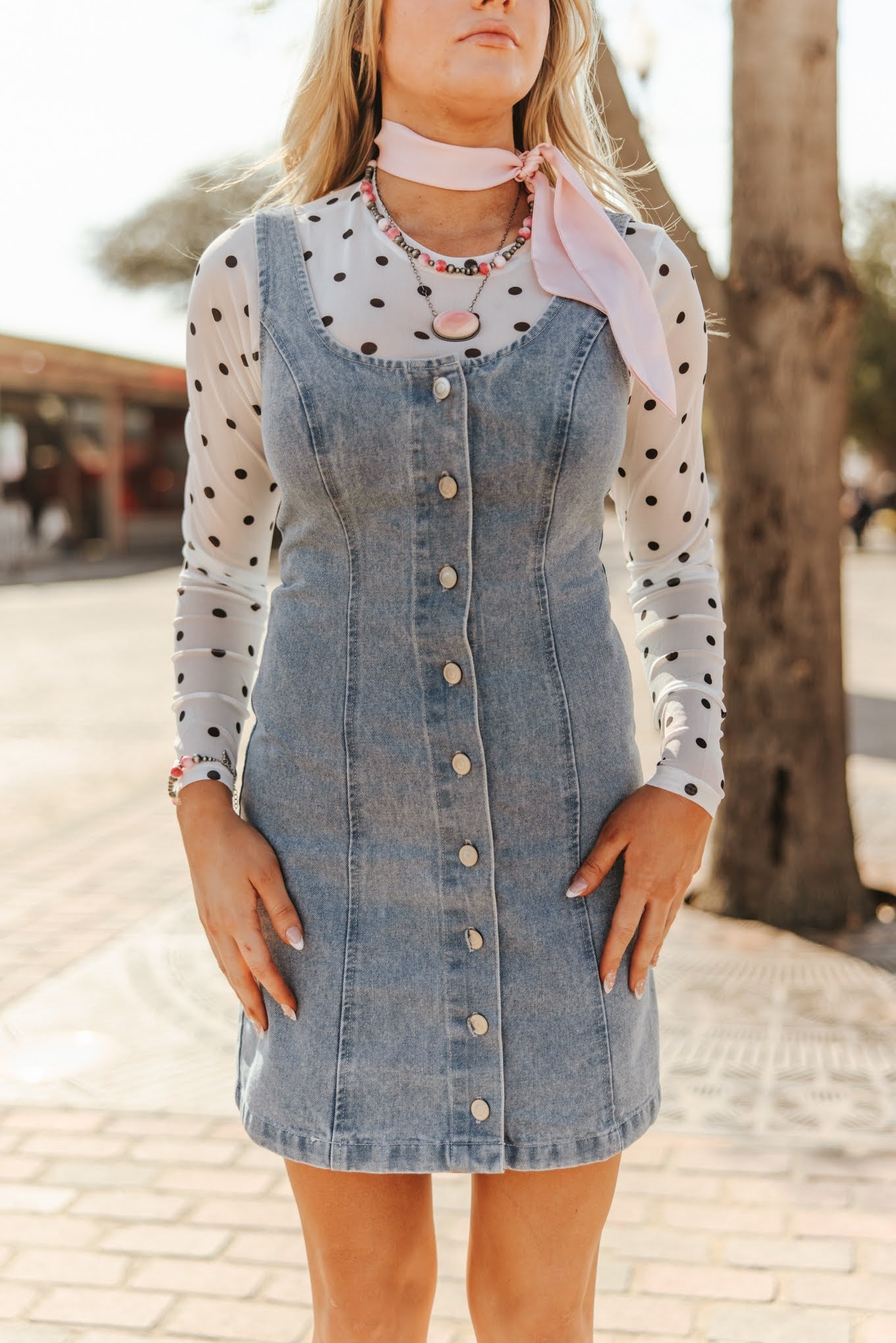 Denim Button Down Sleeveless DressS