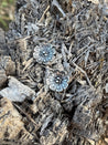 Desert Bloom Post Earrings