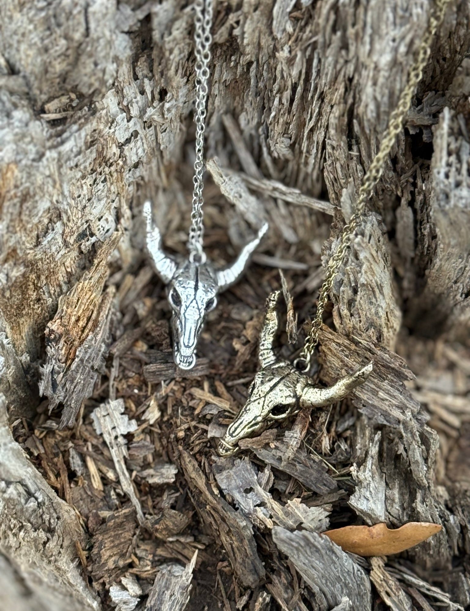 Desert Steer Skull Pendant NecklaceSilver