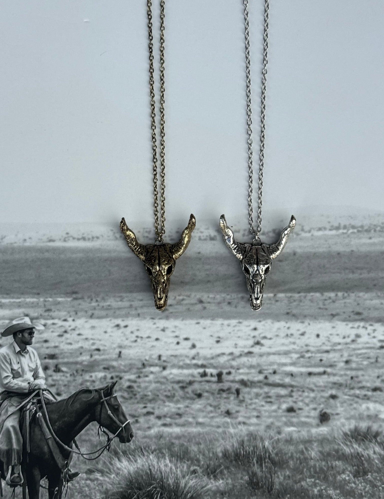 Desert Steer Skull Pendant NecklaceSilver