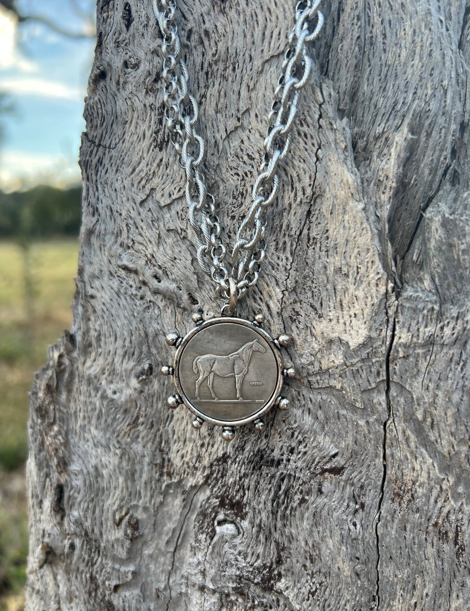 Horse Coin Double Chain Necklace