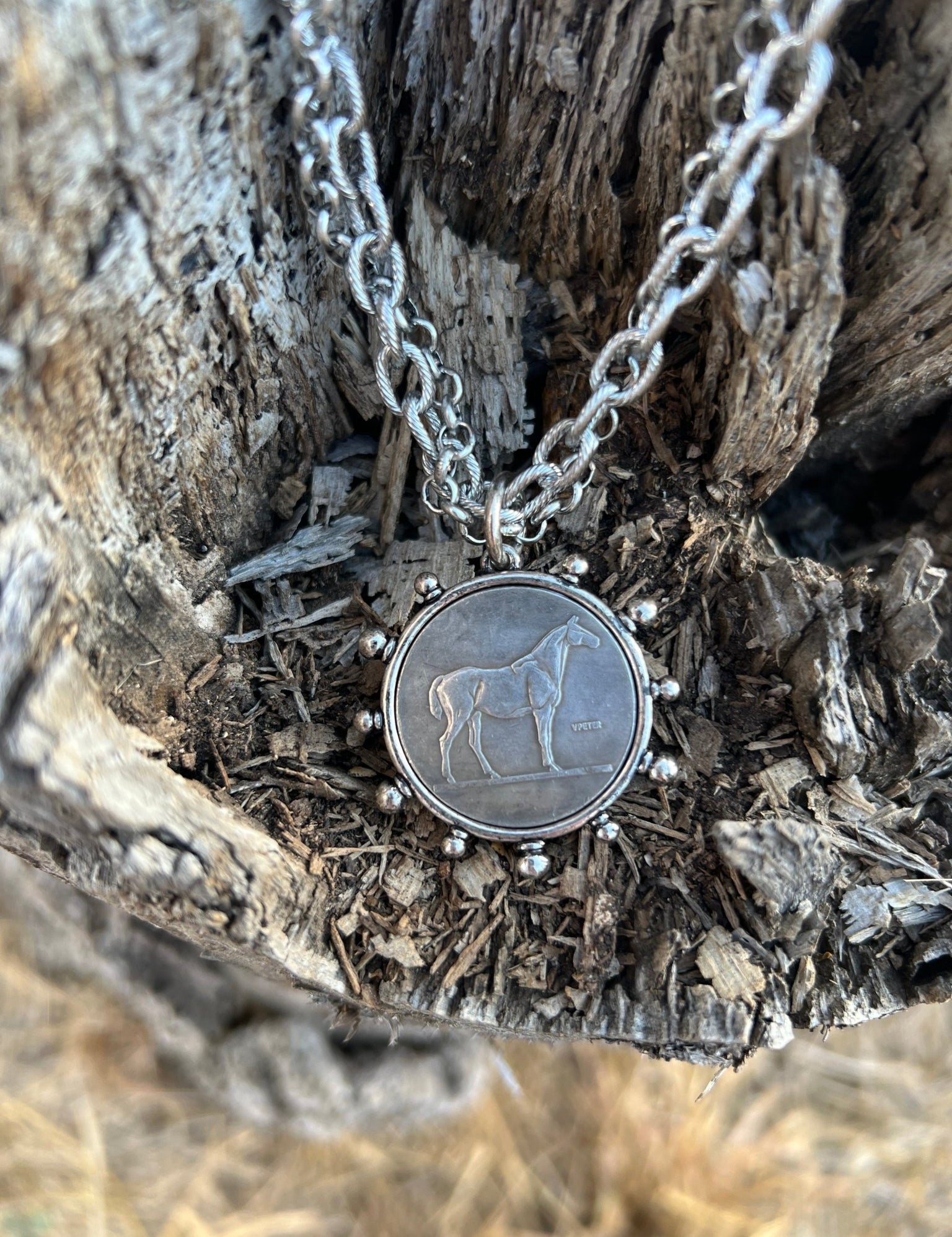Horse Coin Double Chain Necklace