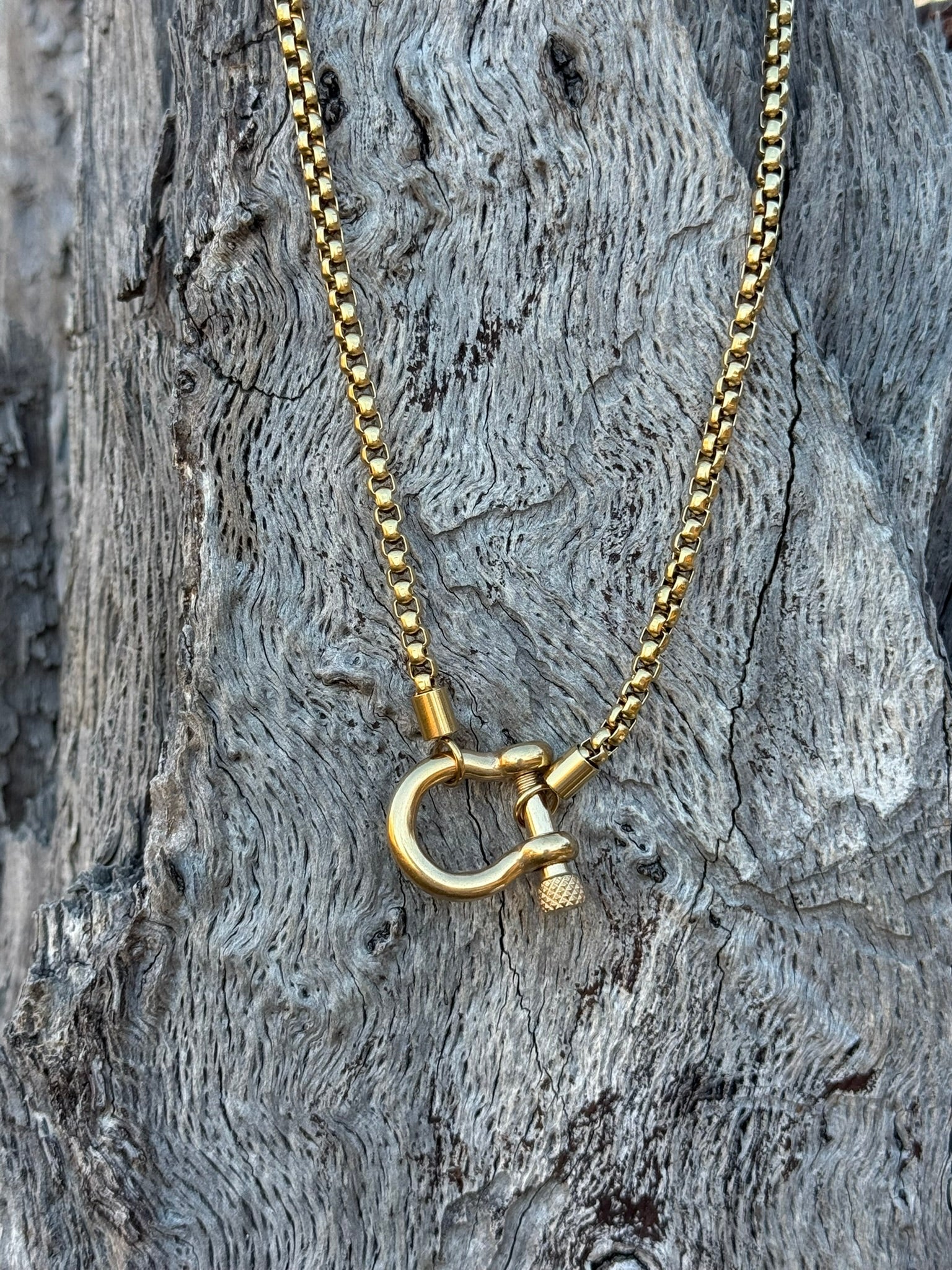 Horseshoe Carabiner Necklace - Gold