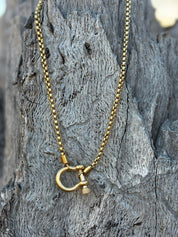 Horseshoe Carabiner Necklace - Gold