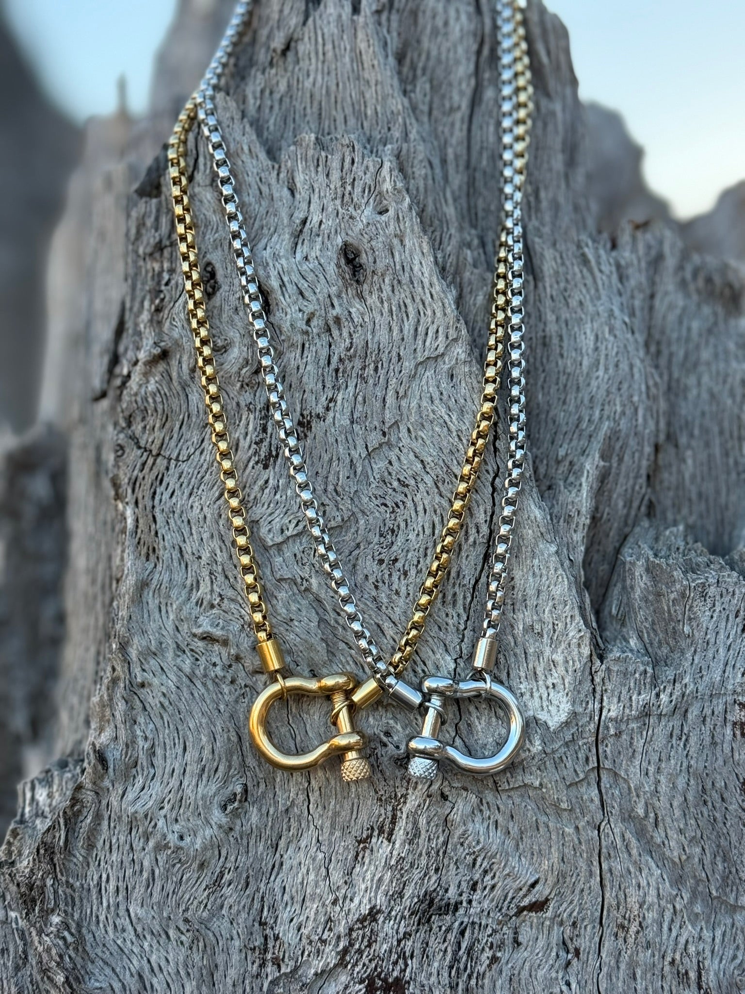Horseshoe Carabiner Necklace - Silver