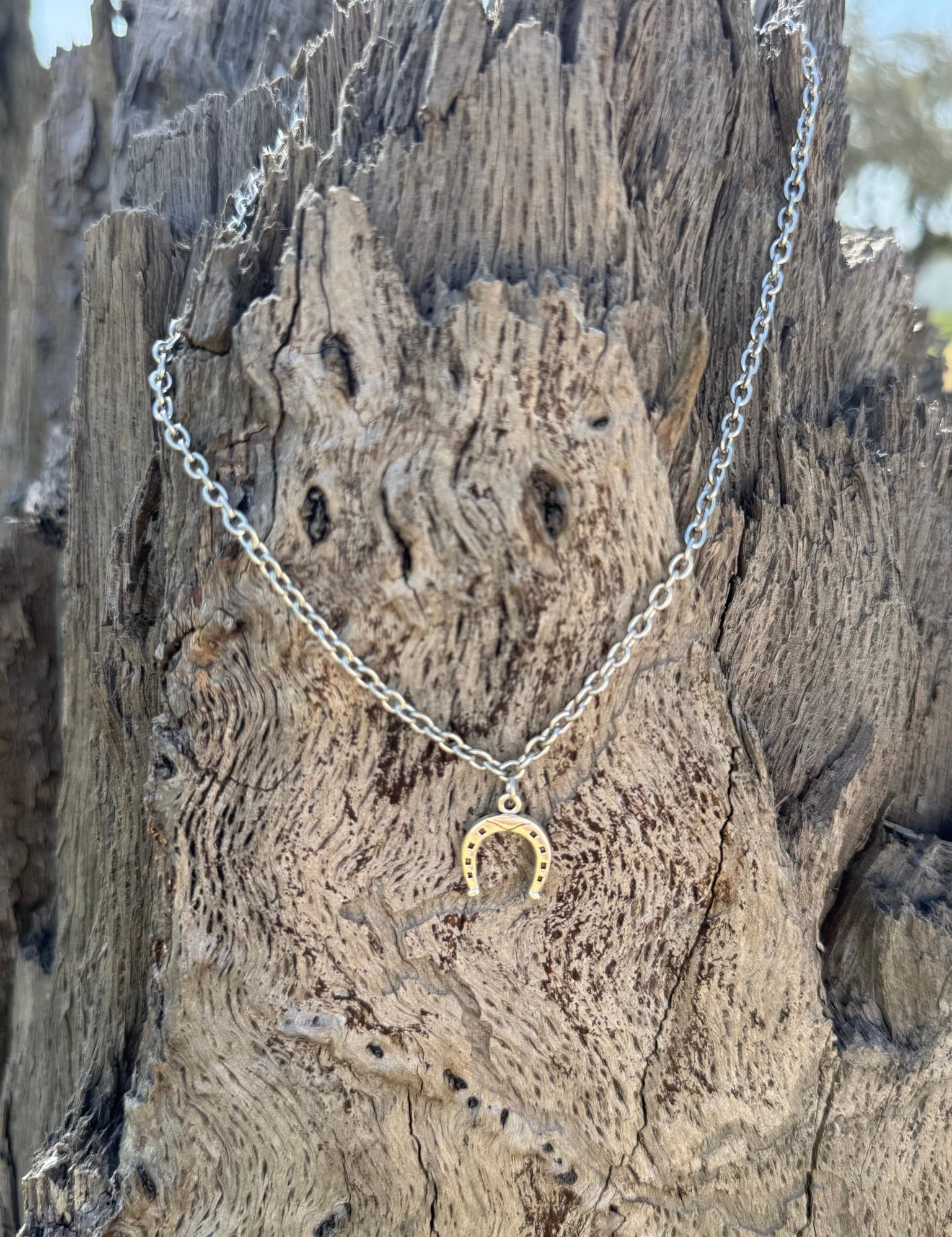 Horseshoe Pendant Necklace
