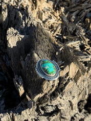 Large Sonoran Turquoise Oval Ring6