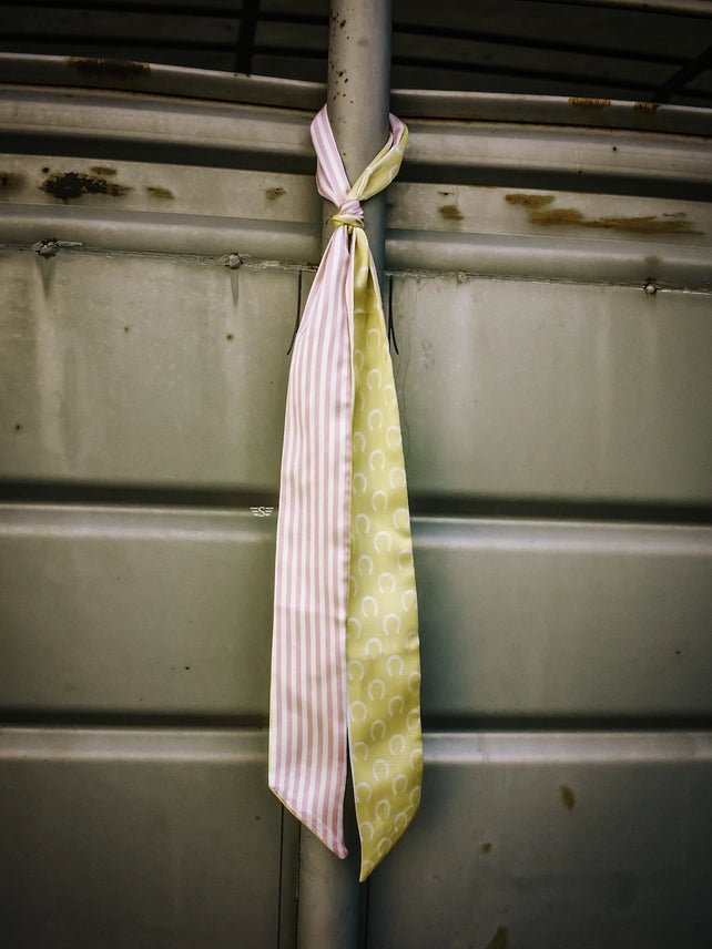 Lucky Charm Horseshoe Stripe Twilly