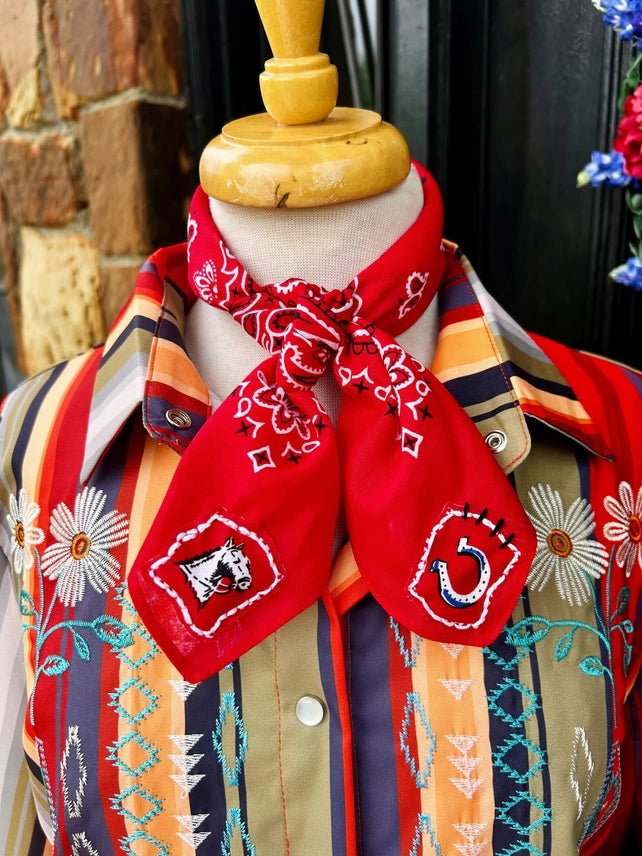 Lucky Trails Paisley Embroidered Bandana