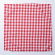 Red Checkered Gingham Bandana