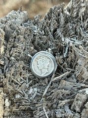 Silver Liberty Coin Necklace