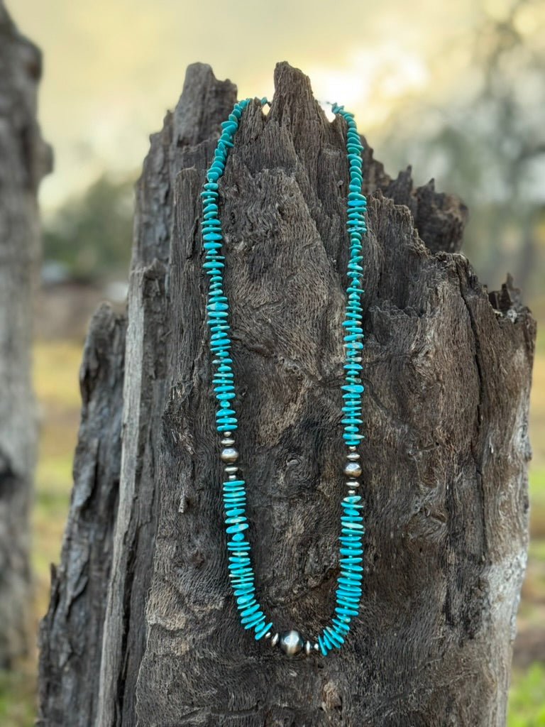 Sleeping Beauty Turquoise Disc Necklace