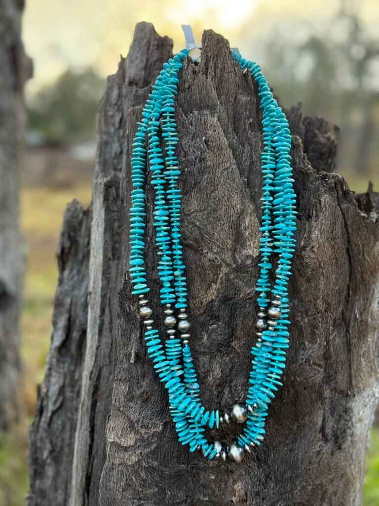 Cut Turquoise Disc Sleeping Beauty Turquoise Disc Necklace