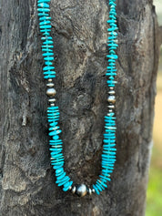 Sleeping Beauty Turquoise Disc Necklace