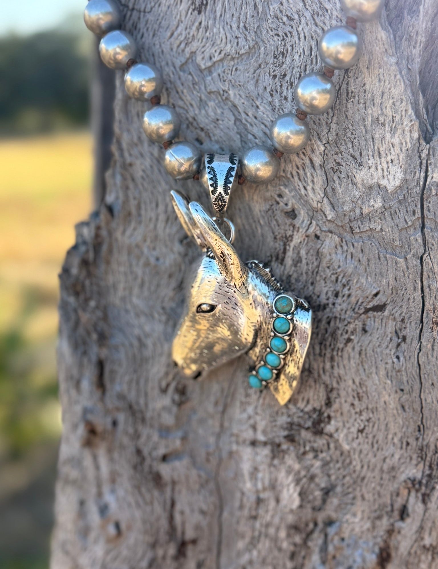 Turquoise Donkey Dash Pendant Necklace