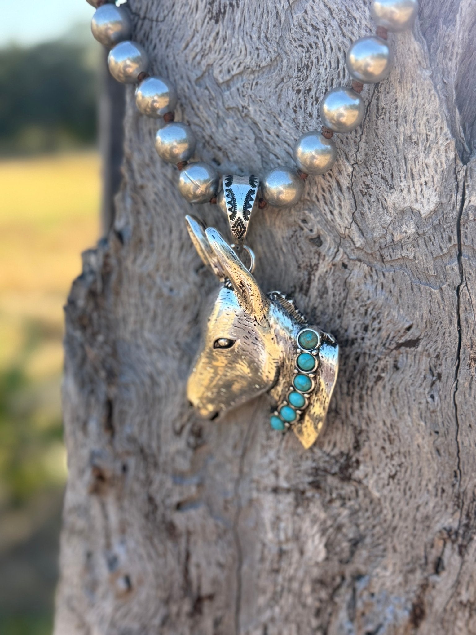 Turquoise Donkey Dash Pendant Necklace