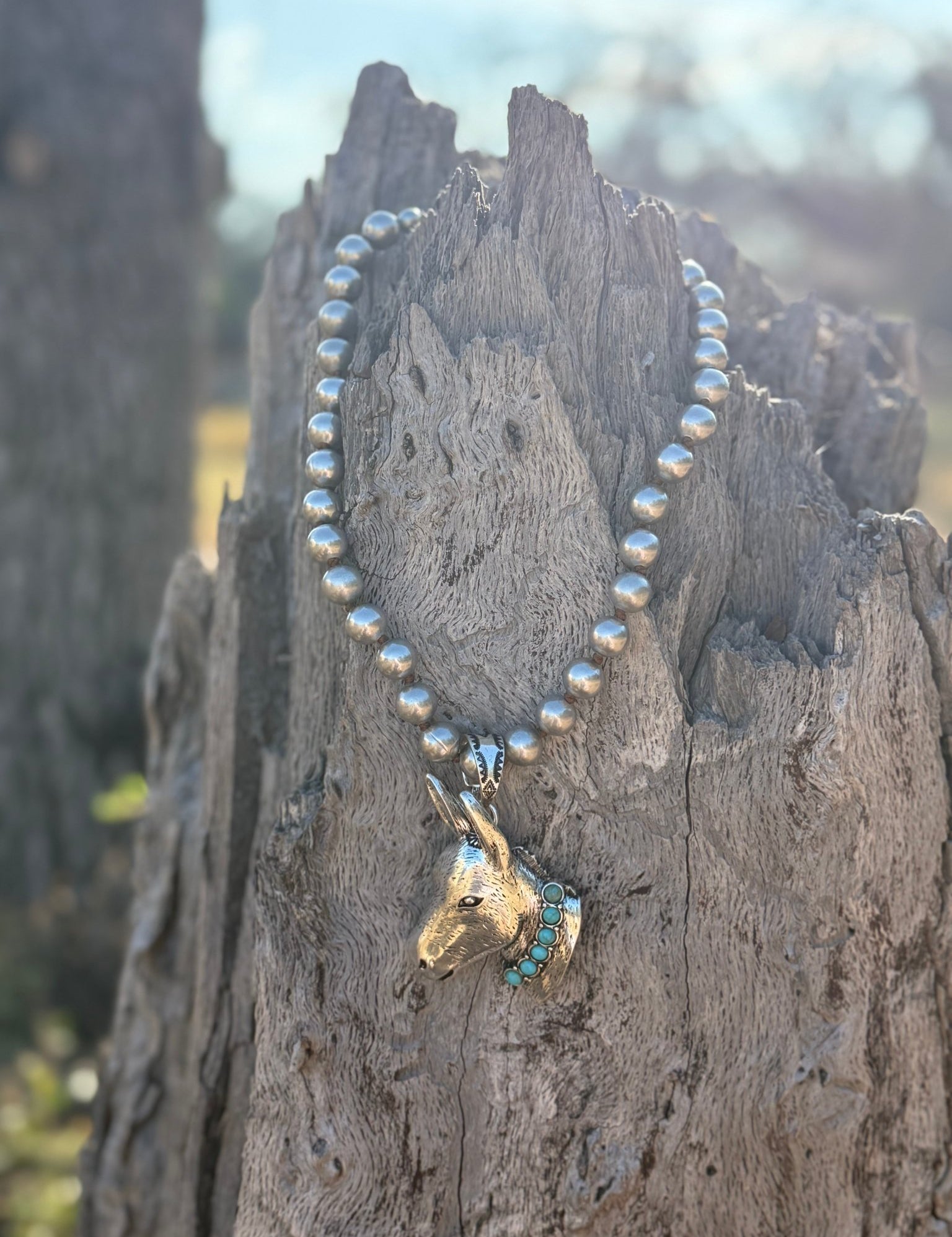 Turquoise Donkey Dash Pendant Necklace
