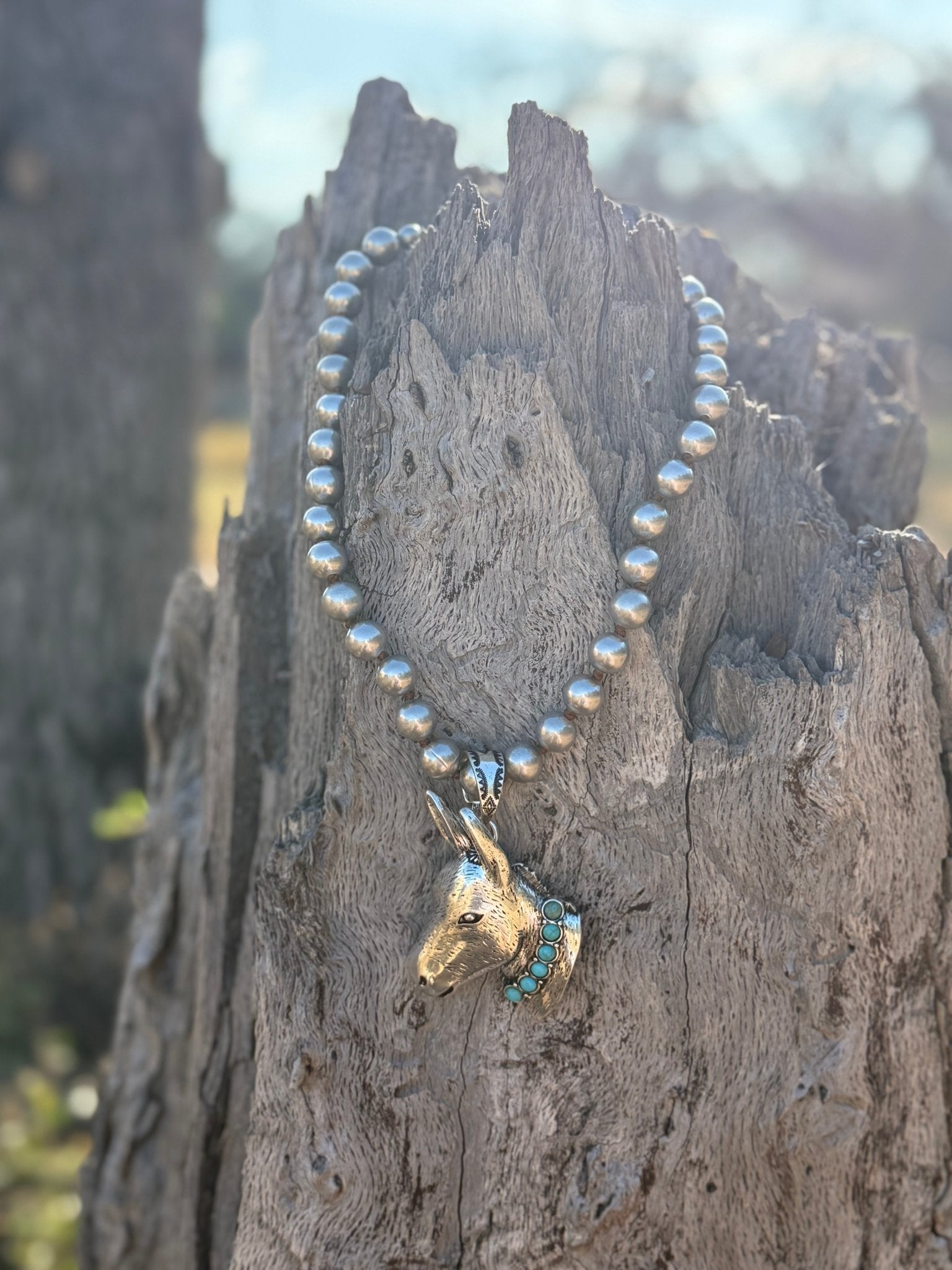 Turquoise Donkey Dash Pendant Necklace