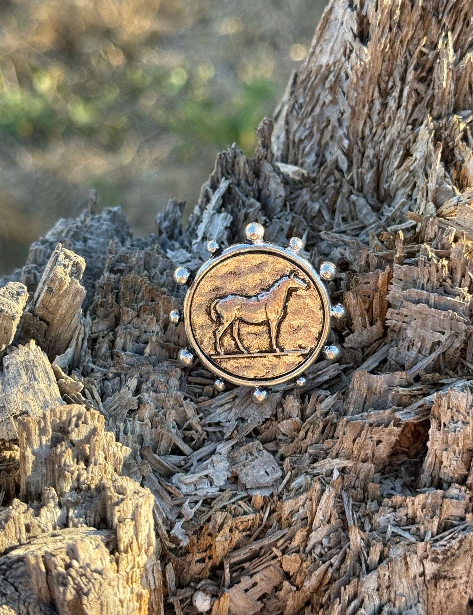 Western Cowgirl Horse Coin Ring