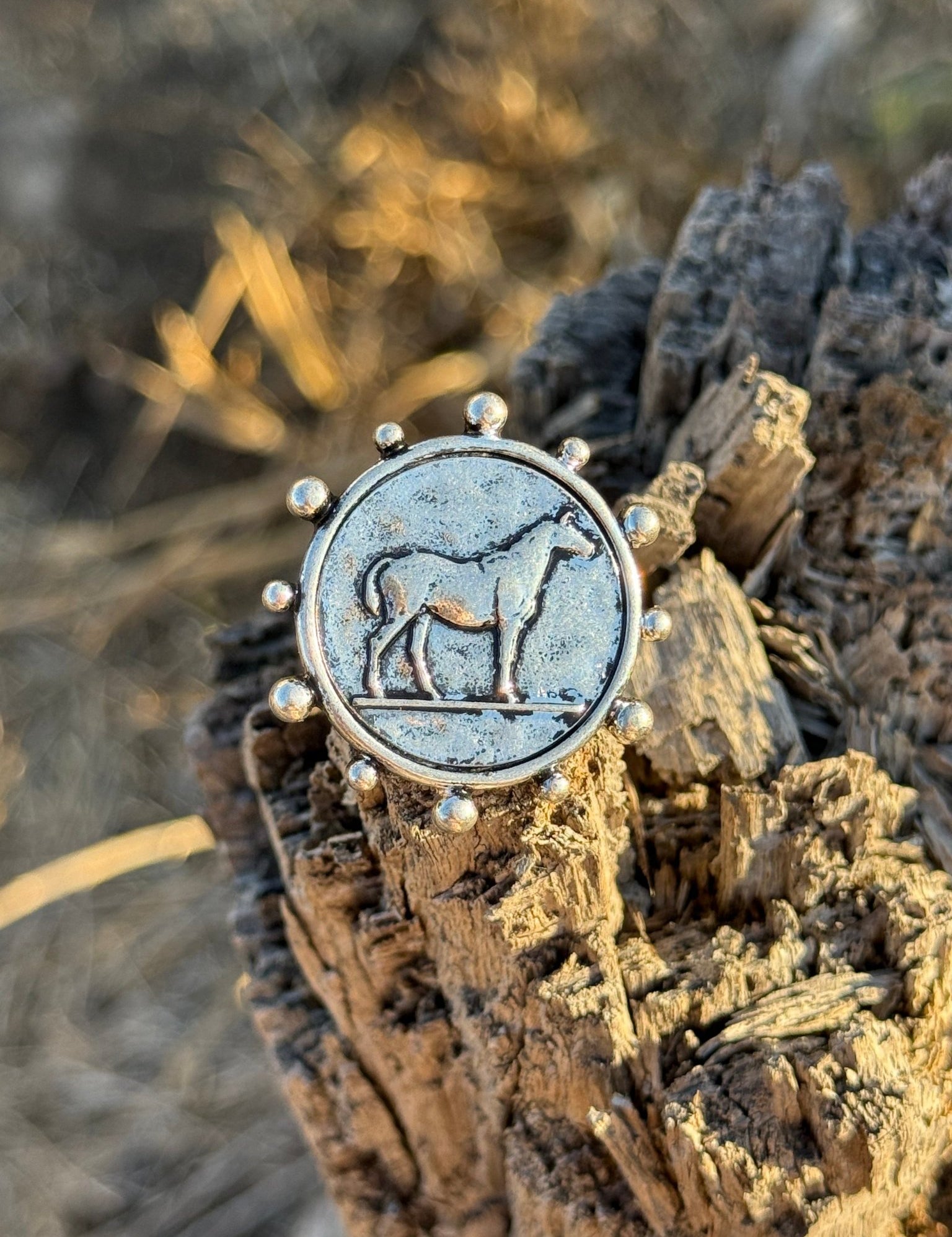 Western Cowgirl Horse Coin Ring