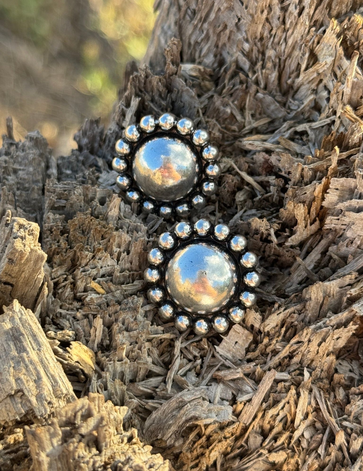 Western Round Bubble Post Earrings