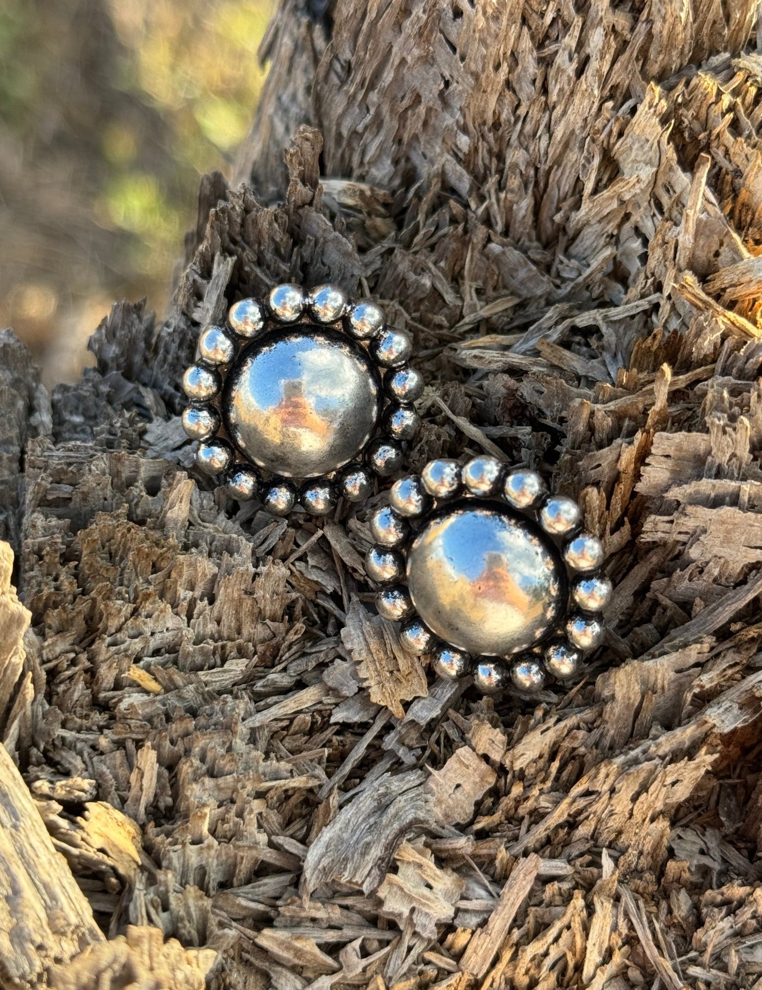 Western Round Bubble Post Earrings