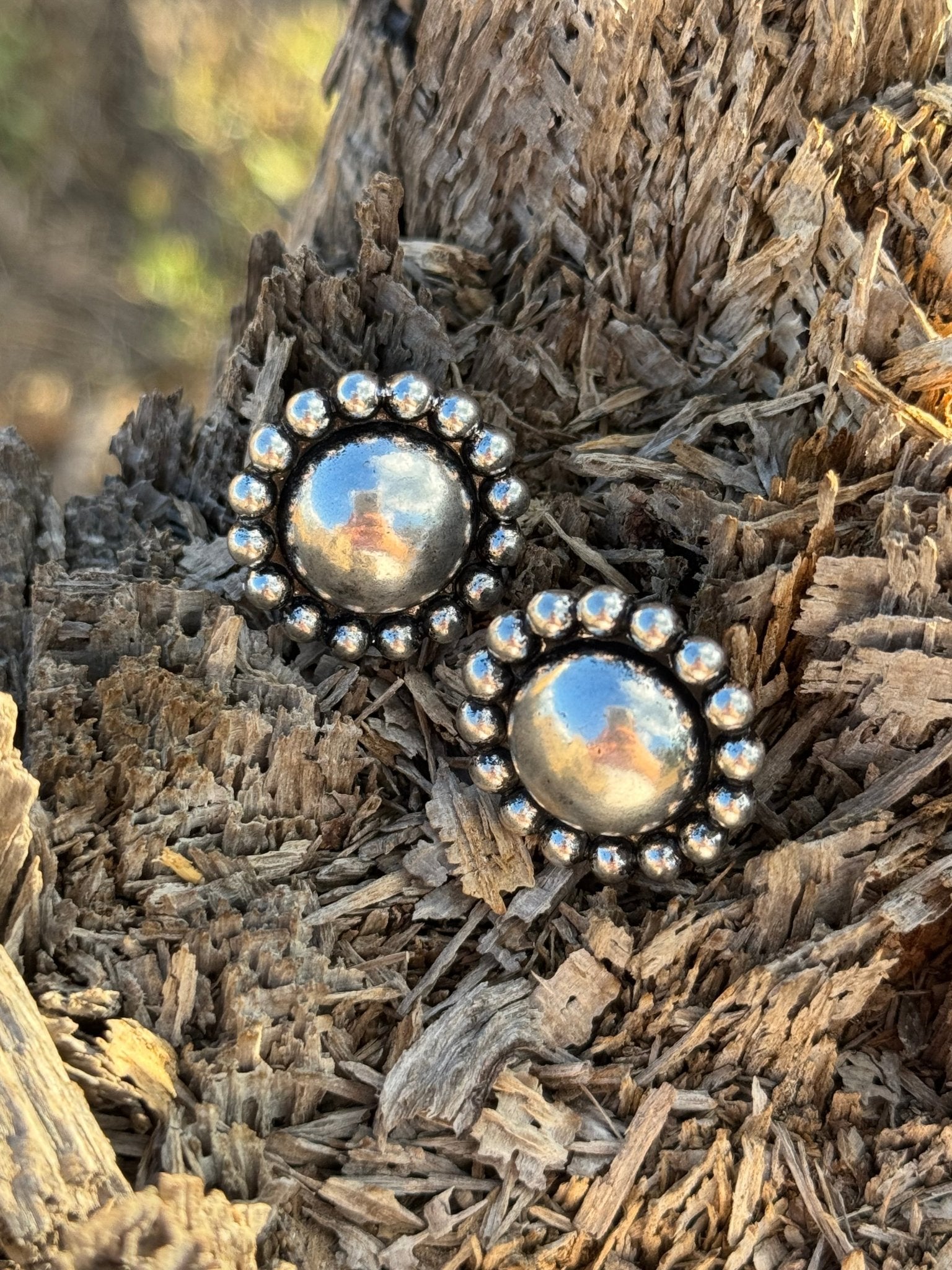Western Round Bubble Post Earrings